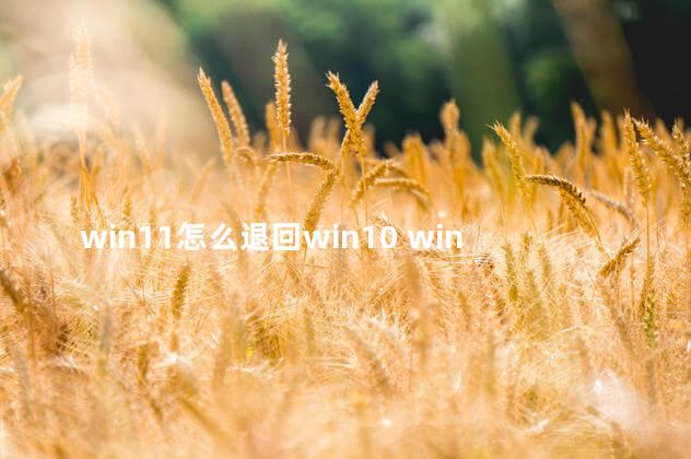 win11怎么退回win10 win11怎么退回win10没有返回选项